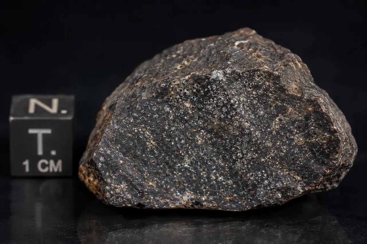 Fragmento de meteorito primitivo fotografiado en macro con escala de un centímetro y textura granular visible